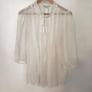 Daniel Rainn Sheer Romantic peasant blouse size M